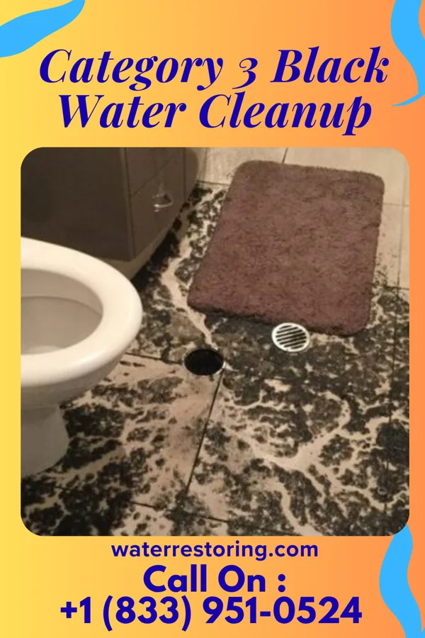 Category 3 Black Water Cleanup in Bovina, MS