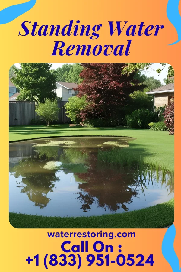 Standing Water Removal in Bovina, MS